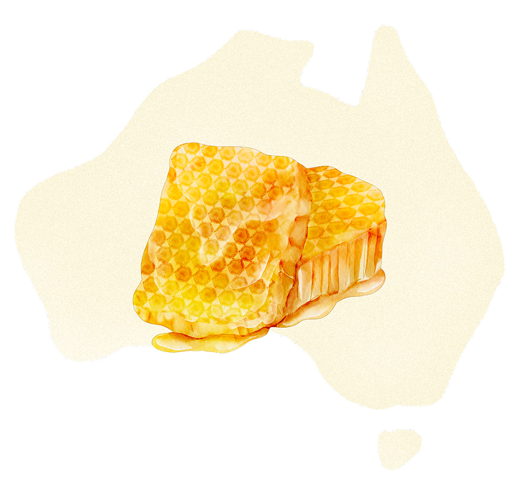 オーストラリアの形の背景と蜂の巣のはちみつのイラスト