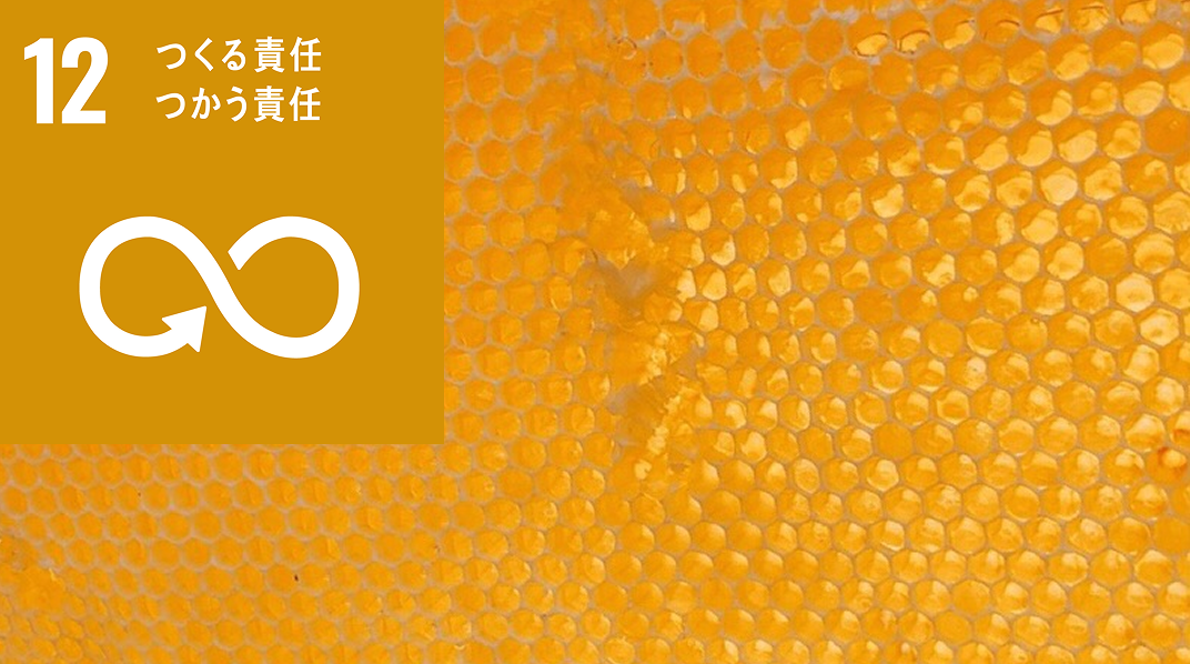 SDGs 12 つくる責任 つかう責任