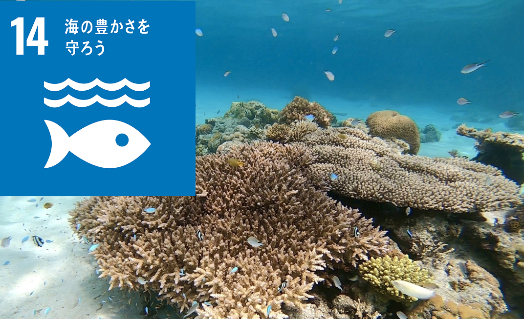 SDGs14 海の豊かさを守ろう