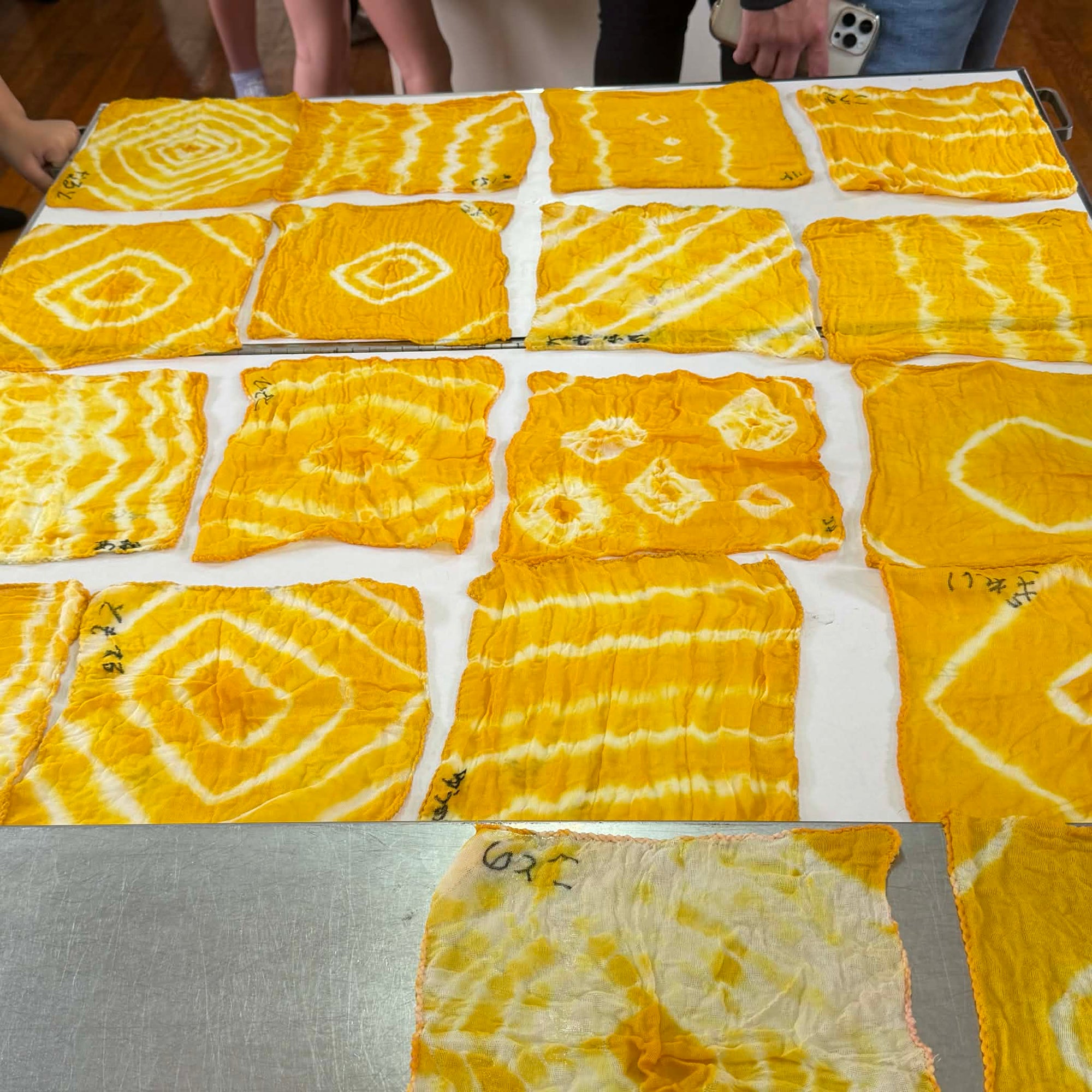 【開催報告】草木染めワークショップ